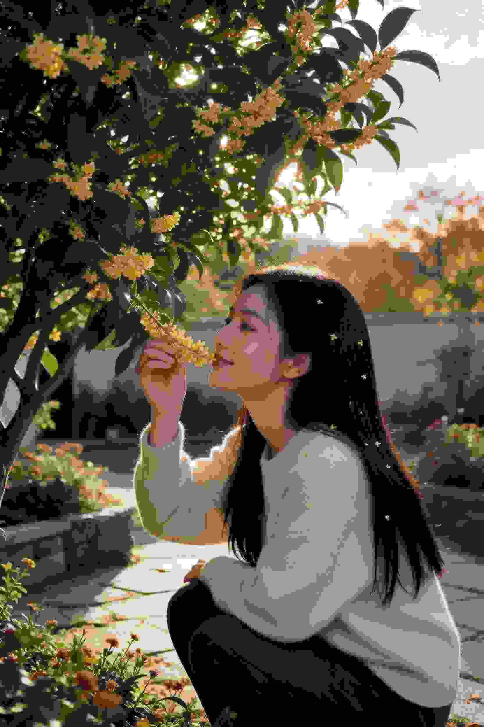 秦时明月